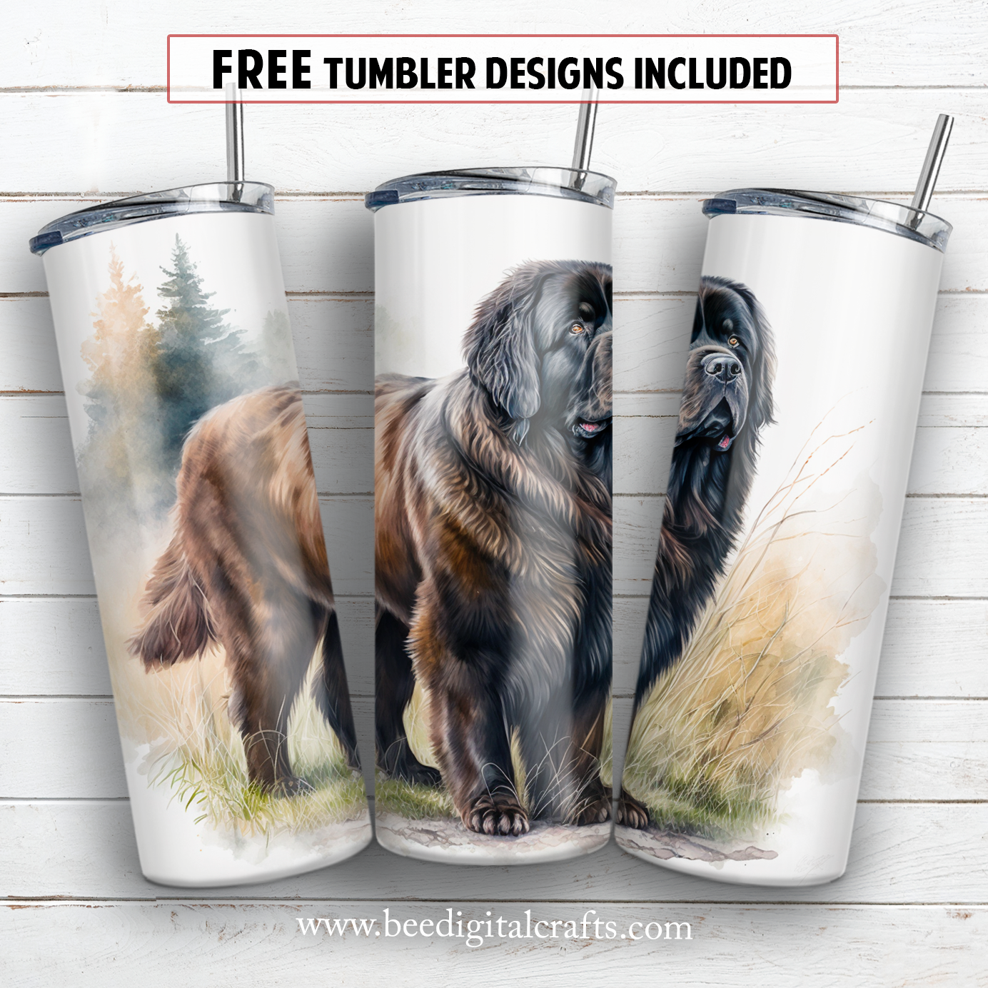 20 oz skinny tumbler sublimation design