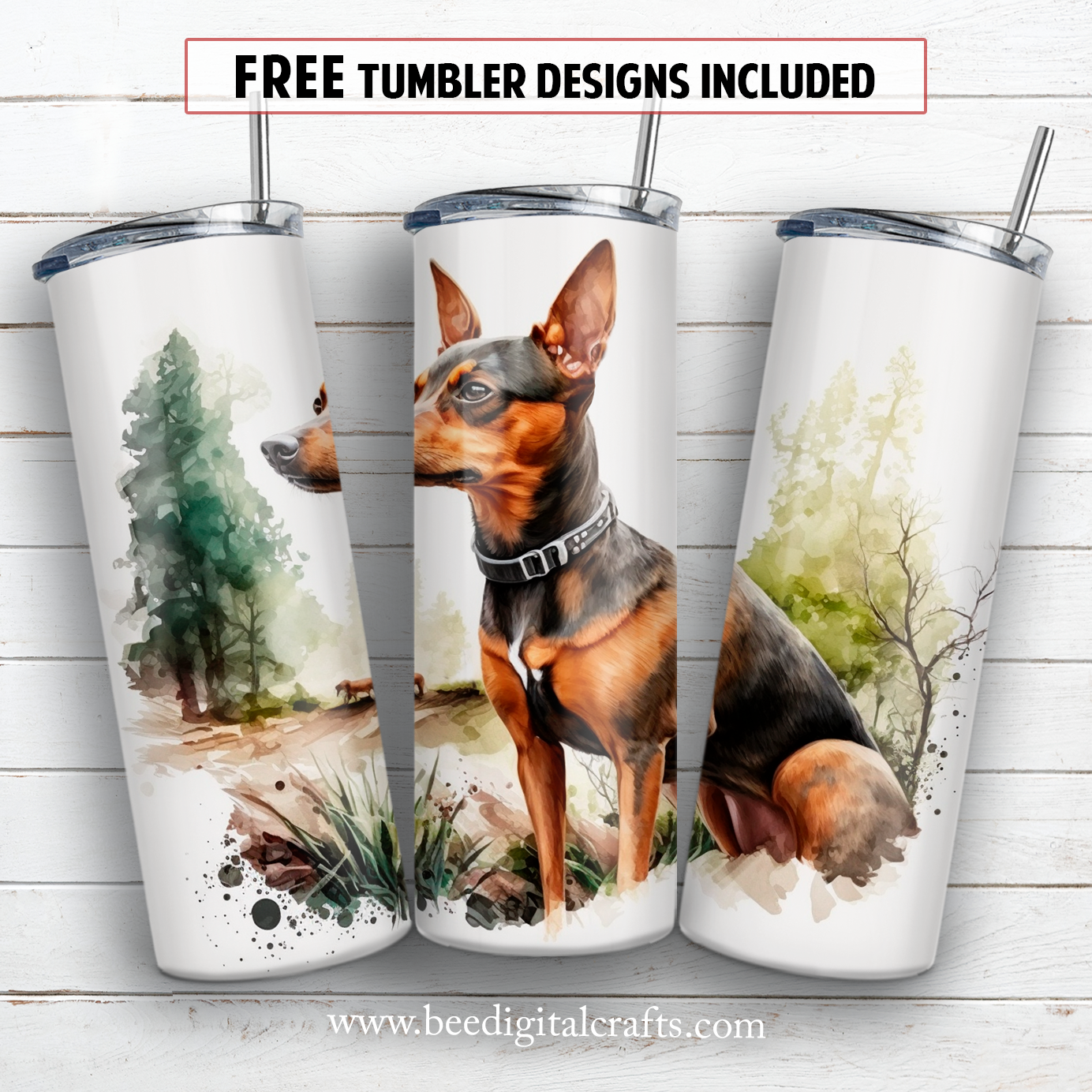 20 oz skinny tumbler sublimation design