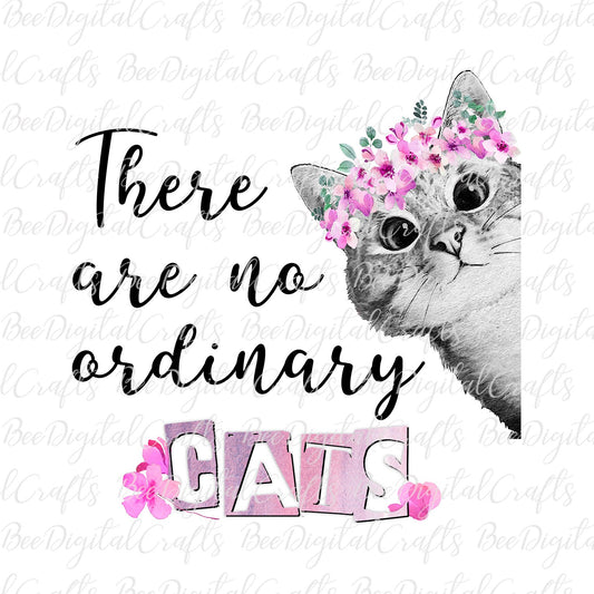 There are no ordinary cats sublimation design