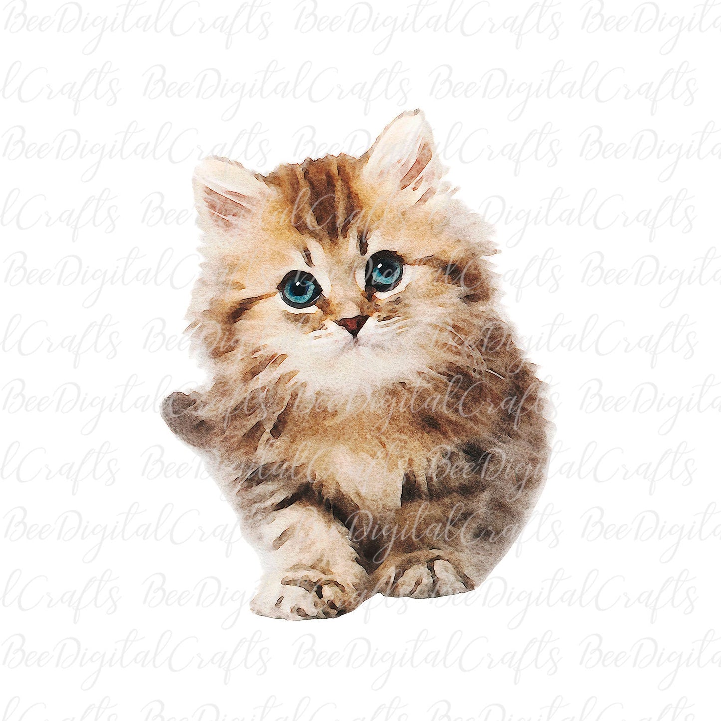 Kitten sublimation design