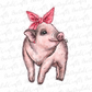 Pig with bandana sublimation design